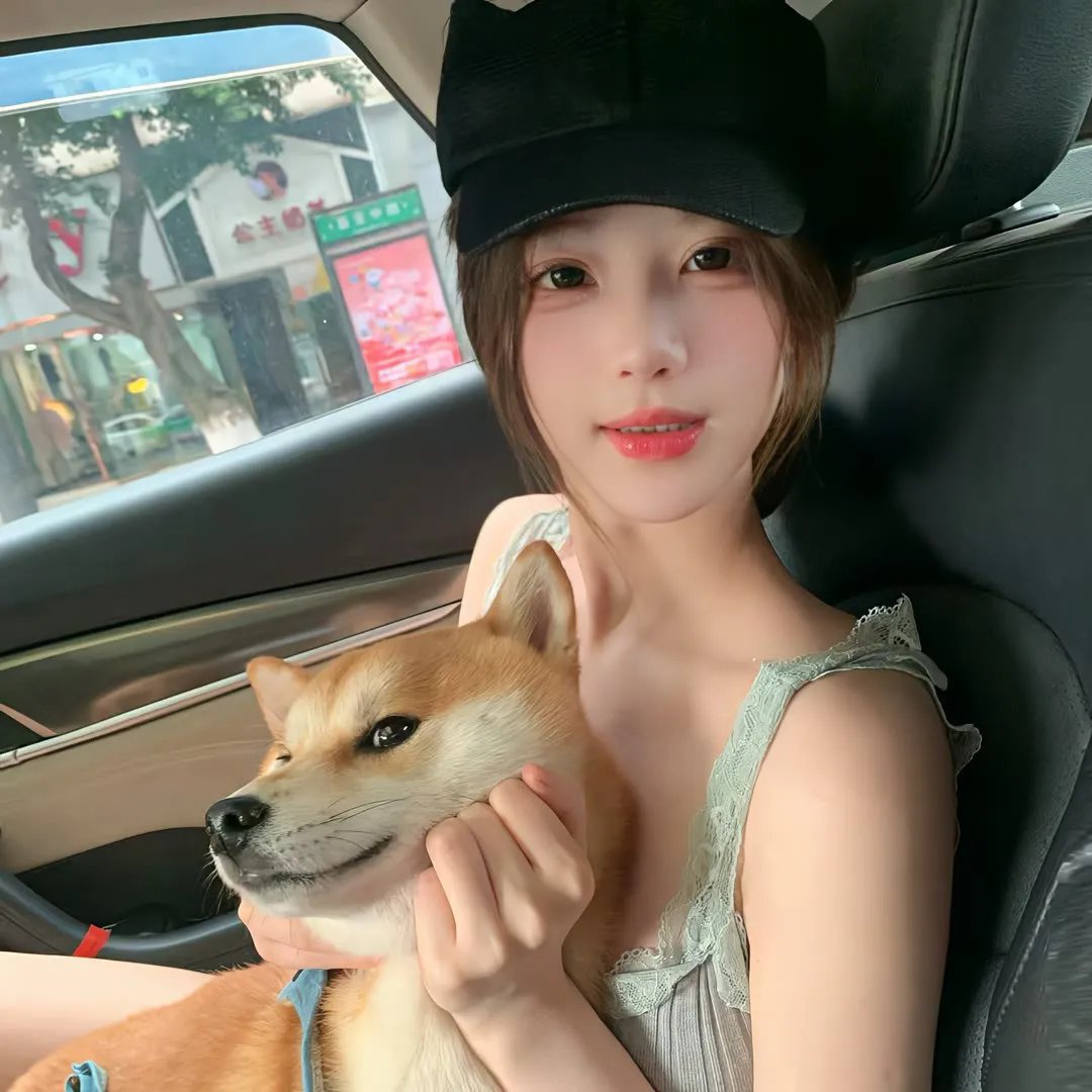 风流总统